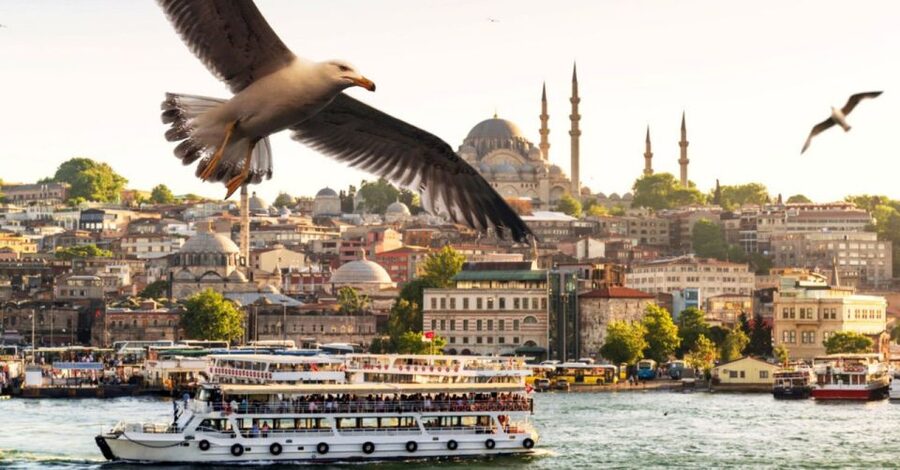 Istanbul: Private Bosphorus Cruise By Luxury Yacht - What the price includes, and where it may not