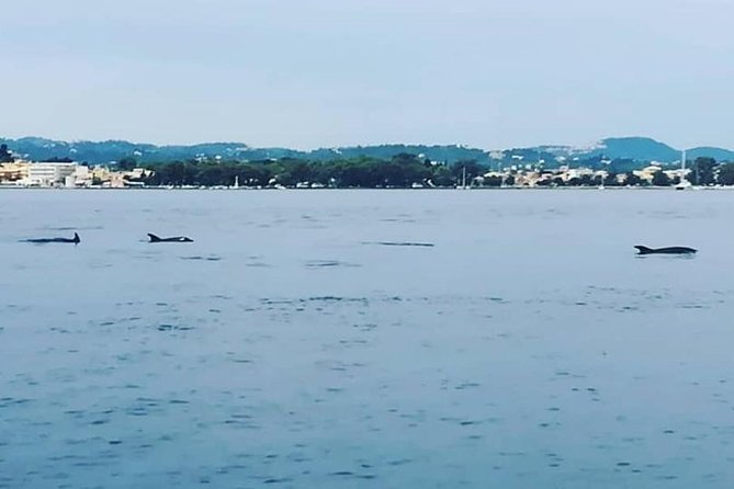 Kassiopi Private Daily Sailing Yacht Cruise - Families, Celebrations, and Couples