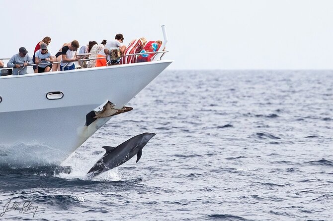 Klein Curacao Superyacht and Beach house - The weekend package versus the regular weekday trip