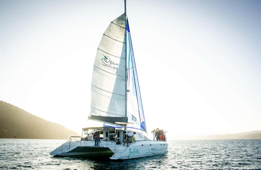Knysna: Luxury Catamaran Marine Adventure Tour - Booking details that matter