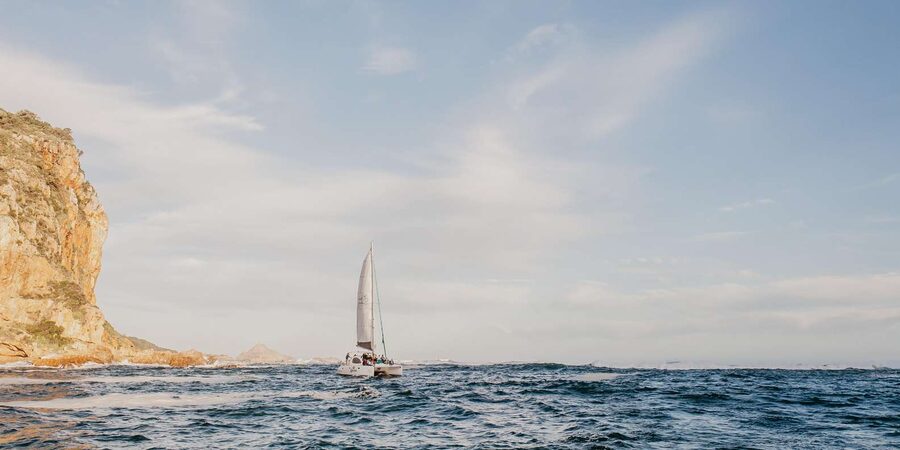 Knysna: Luxury Catamaran Marine Adventure Tour - Looking for dolphins and seals