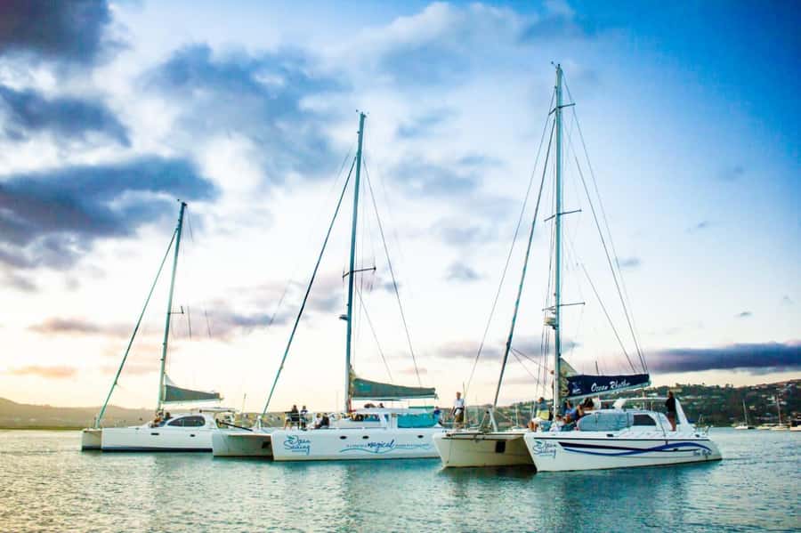 Knysna: Luxury Catamaran Marine Adventure Tour - Crossing Knysna Lagoon