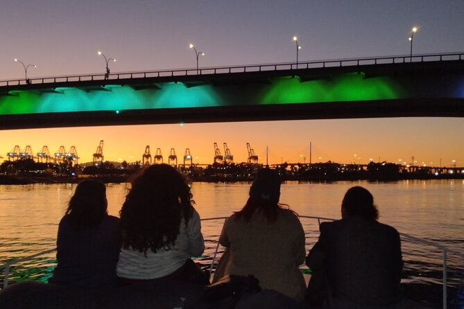 LA: Birthday Special Private Yacht (1 ticket covers 1-6 people) - Watching for sea lions near the buoys
