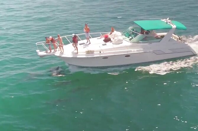 LA: Birthday Special Private Yacht (1 ticket covers 1-6 people) - Cruising beside Long Beach’s shore