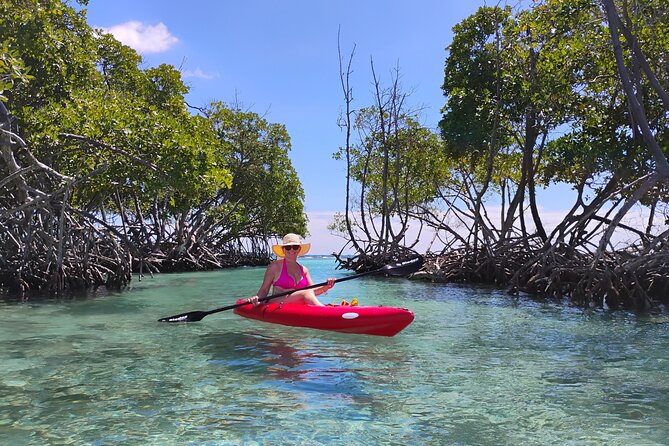 La Parguera Boat Charter with Captain: Kayak & Snorkel - Kayaking, snorkeling, and floating at your own pace