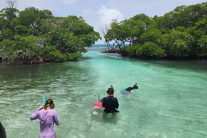 La Parguera Private Boat Charter - Mata La Gata and Cayo Enrique for swimming and snorkeling
