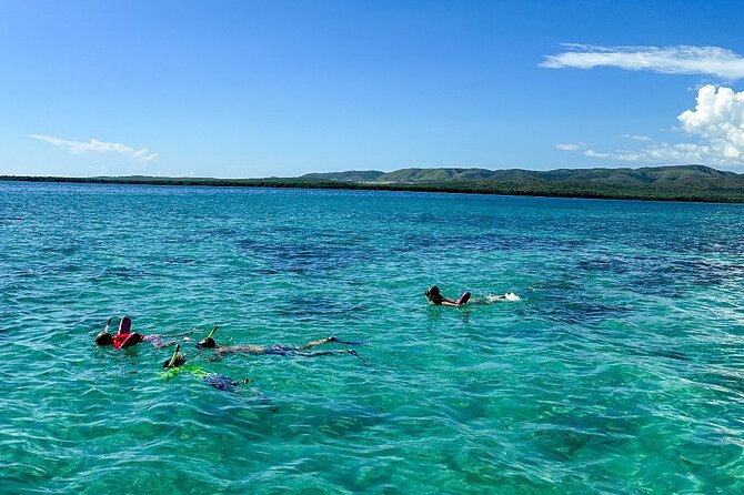 La Parguera Private Boat Charter - Mangrove channels, birding, and quieter corners