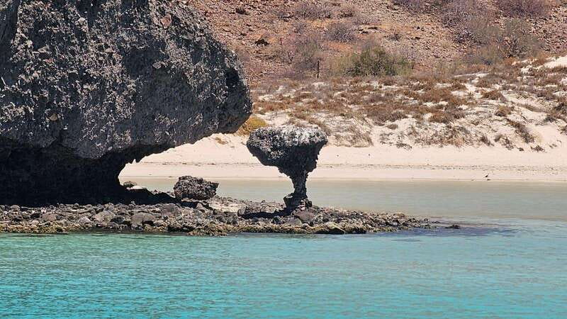 La Paz: Balandra Beach Luxury Yacht Charter Cruise - Key things to know before booking