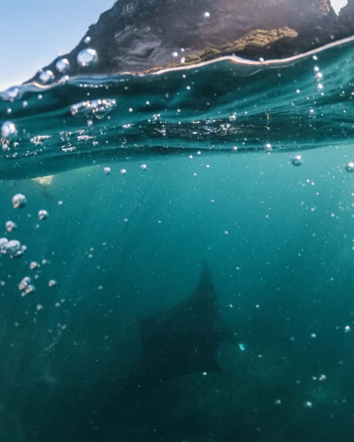 Labuan Bajo: Private Yacht Komodo Islands & Manta Snorkel - Costs, Extra Fees, and Practical Limits