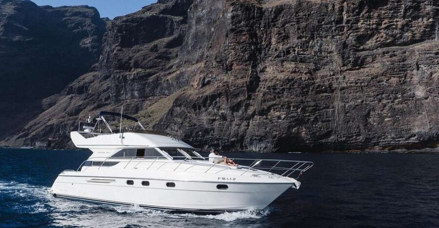 Las Galletas: Private Luxury Yacht Cruise with Lunch - What whale and dolphin watching is really like