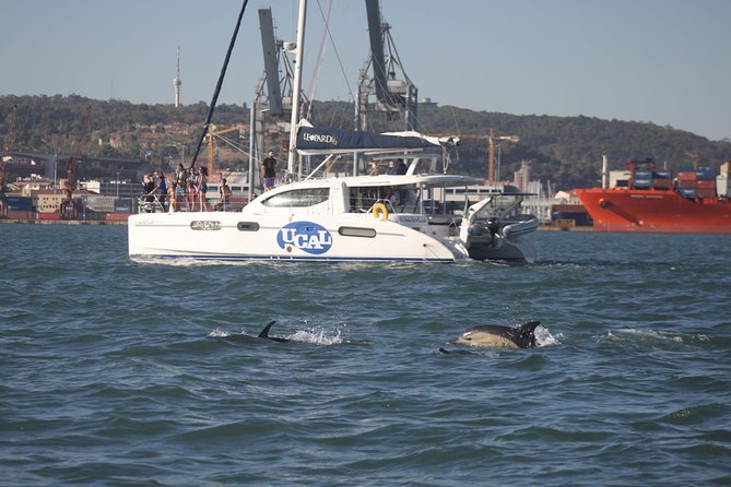 Lisbon: Sunset Cruise With Drinks on Spacious Yacht - Is $50.69 a fair price?