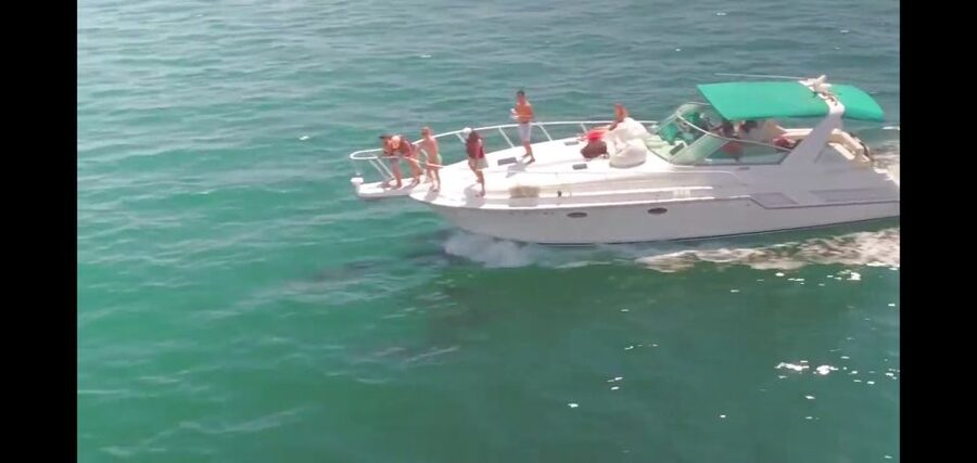 Long Beach: 2-Hour Private Group Yacht Cruise - Key Points for Your Two Hours Afloat