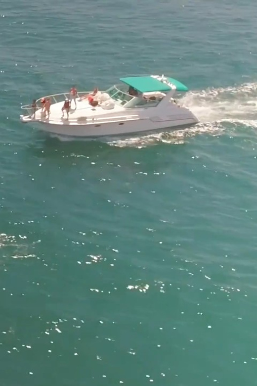 Long Beach: 3hr Private Yacht Trip (1 ticket covers 1-6 ppl) - What the captain adds to the experience