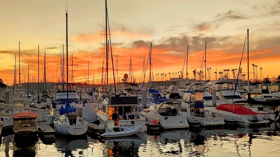 Los Angeles #1: Luxury Boat Cruise-Wine, Cheese & Sea Lions - Captain Shaun and the value of a guided ride