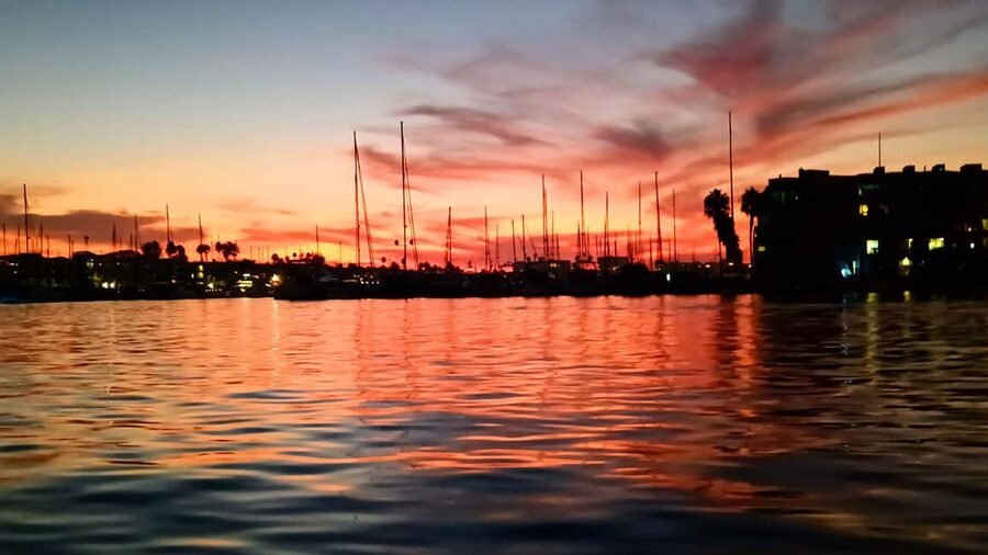 Los Angeles #1: Luxury Boat Cruise-Wine, Cheese & Sea Lions - Is $149 a fair price?