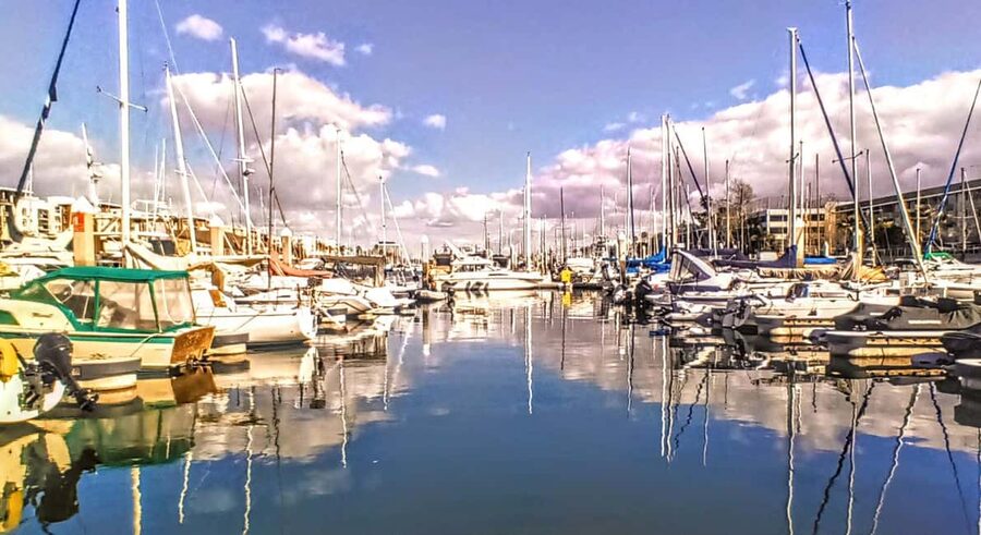 Los Angeles #1: Luxury Boat Cruise-Wine, Cheese & Sea Lions - When to book for the best mood