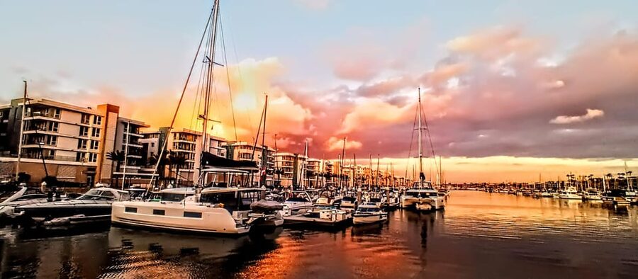 Los Angeles #1: Luxury Boat Cruise-Wine, Cheese & Sea Lions - Who will enjoy this most?