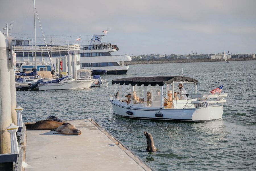 Los Angeles: Luxury Cruise with Wine, Cheese & Sea Lions - How the $119 price measures up