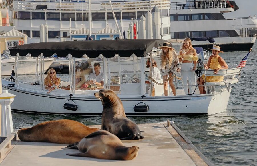 Los Angeles: Luxury Cruise with Wine, Cheese & Sea Lions - Watching sea lions and marina birds