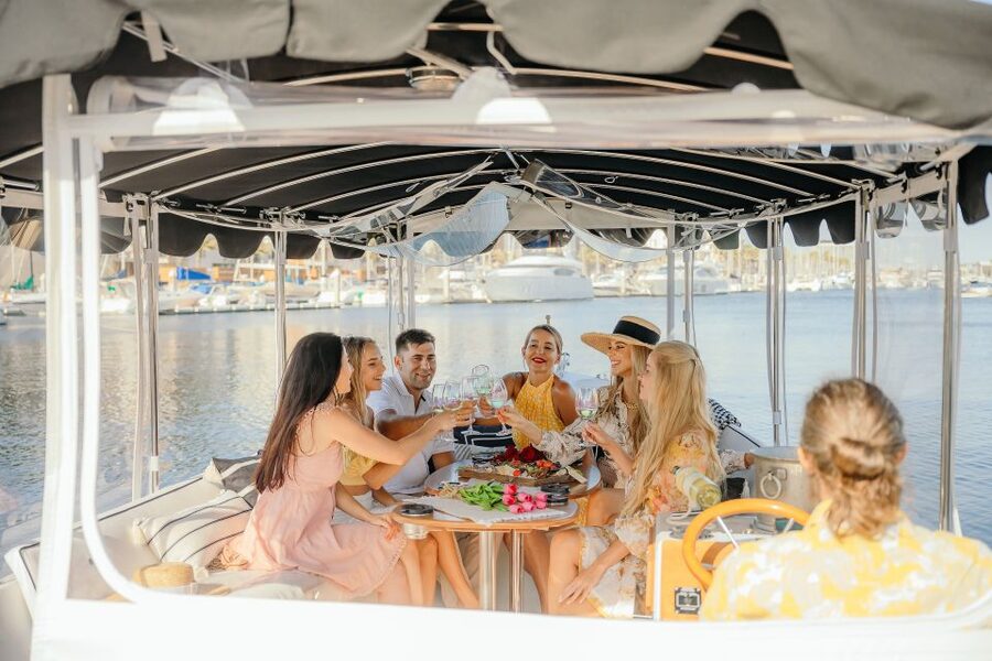 Los Angeles: Luxury Cruise with Wine, Cheese & Sea Lions - Leaving the dock on a fully electric Duffy boat