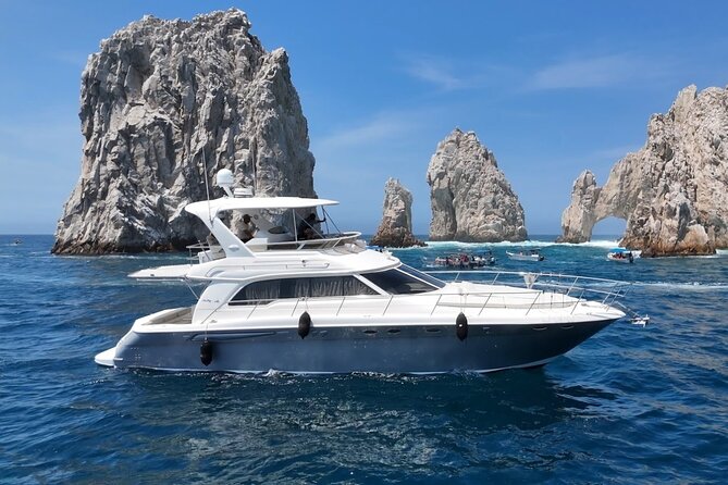 Los Cabos Whale Watching & Snorkel Adventure with Food & Drinks - What a private yacht changes
