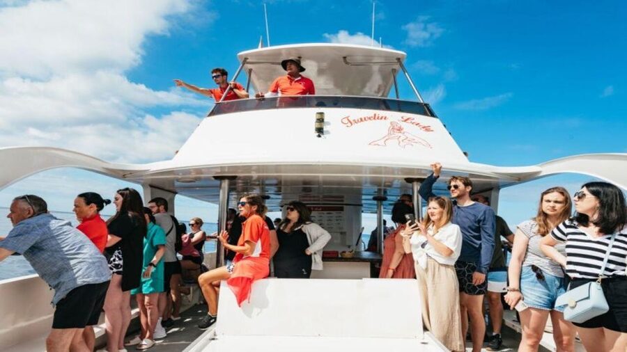 Los Cristianos: Eco Yacht Whale Watching Tour at Sunset - Key points to know before booking