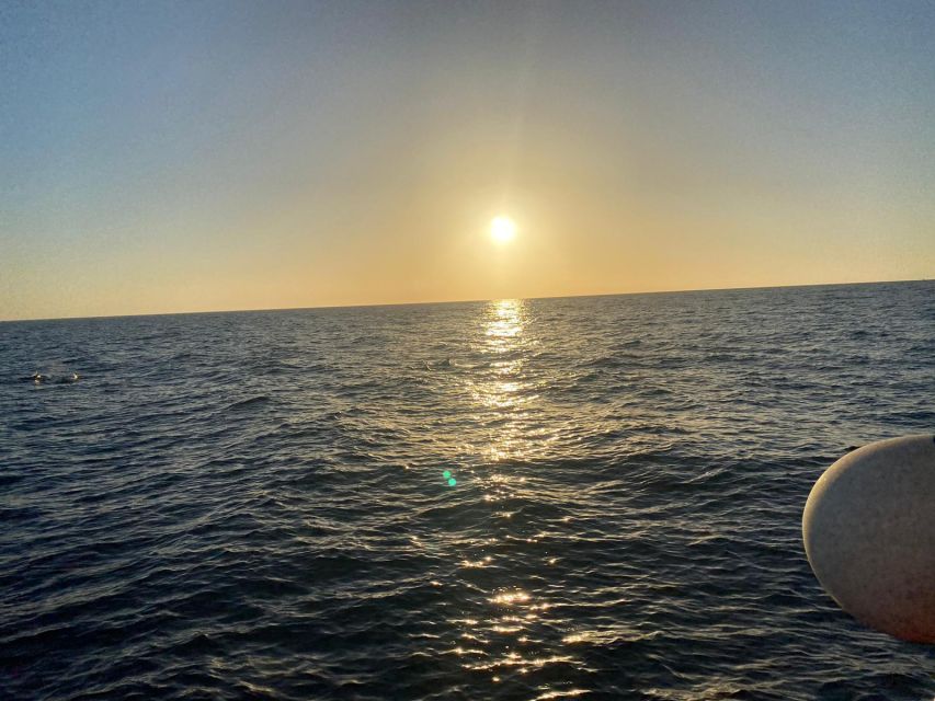 Los Cristianos: Eco Yacht Whale Watching Tour at Sunset - Who will enjoy this 90-minute trip most