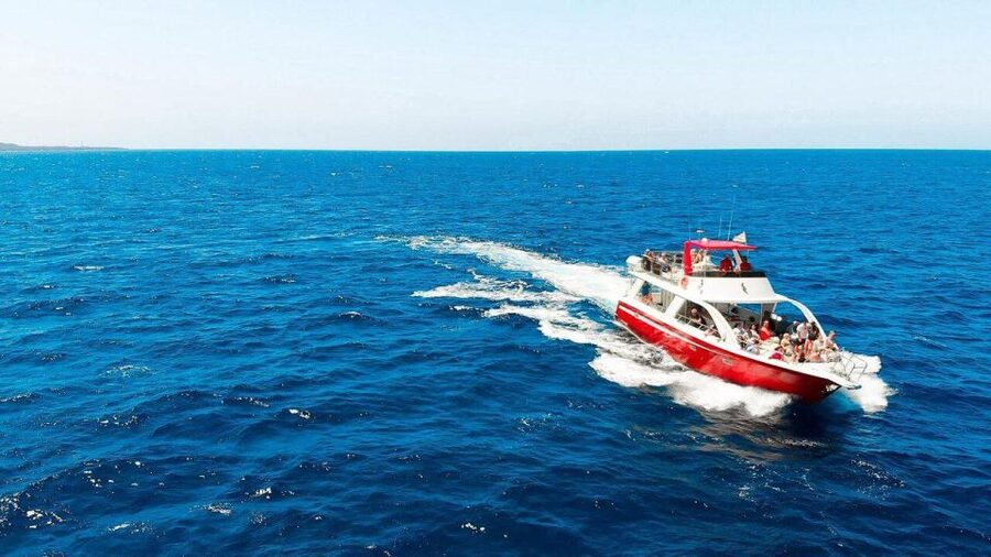 Los Cristianos: Eco Yacht Whale Watching Tour at Sunset - A sunset cruise with wildlife built in