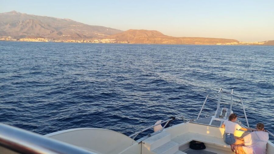 Los Cristianos: Eco Yacht Whale Watching Tour at Sunset - The first 30 minutes: leaving the harbor