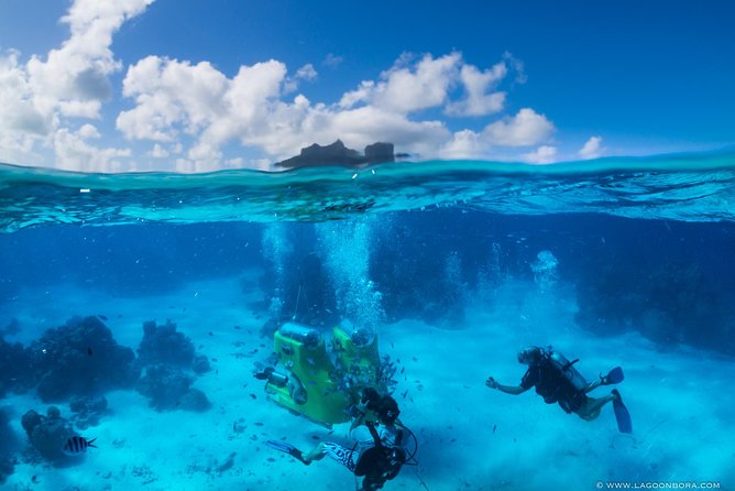 LUXURY Catamaran Bora Bora : Sailing, Snorkeling & Floating Bar - Who will enjoy this outing most