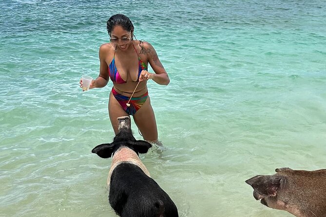 Luxury Catamaran Cruise: Sip, Sail, Snorkel, and Swim with Pigs! - Key points to know before you book