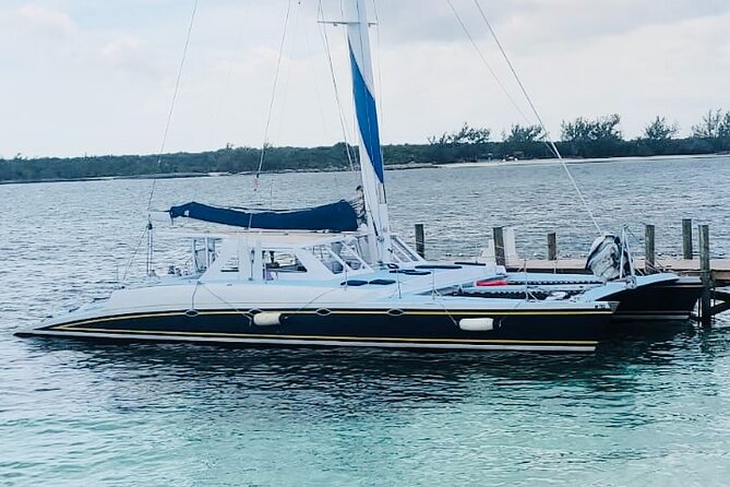Luxury Catamaran Cruise: Sip, Sail, Snorkel, and Swim with Pigs! - Pig Beach, where the water gets comic