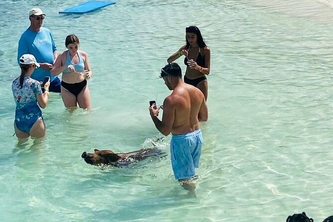 Luxury Catamaran Cruise: Sip, Sail, Snorkel, and Swim with Pigs! - A passing look at Sandy Cay, the television island