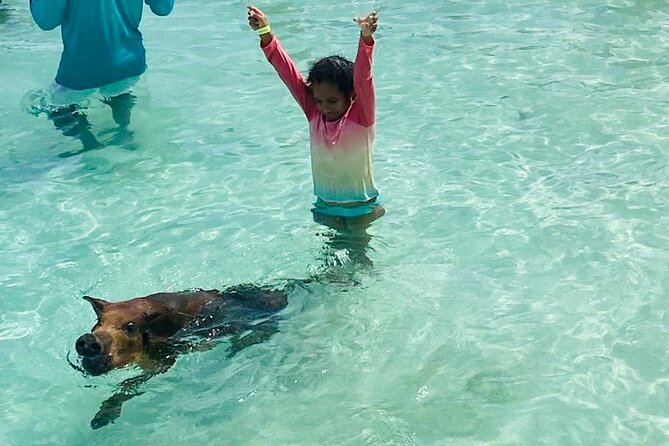 Luxury Catamaran Cruise: Sip, Sail, Snorkel, and Swim with Pigs! - Snorkeling over reef, wrecks, and underwater statues