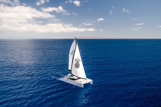 Luxury Catamaran Royal Sunset Dinner Sail (Adults-Only) - A Sunset Dinner That Starts at Maalaea Harbor