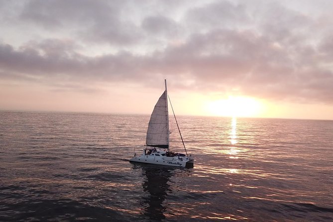 Luxury Catamaran Sailing Charter of San Diego - Bringing food and drinks onboard