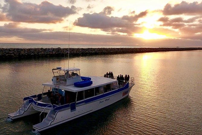 Luxury Catamaran Sunset and Wine Cruise from Dana Point - Setting Sail from Dana Point Harbor