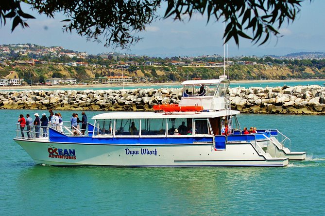 Luxury Catamaran Sunset and Wine Cruise from Dana Point - Music, Dancing, and the Social Mood