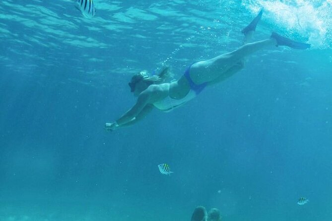 Luxury Catamaran Tour to Isla Mujeres with Transportation - Sailing from Marina Albatros at 10 a.m.