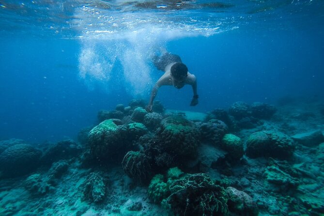 Luxury Cruise inc. Snorkeling/Massage/Island/water sport & Lunch - Orange Bay and Giftun Island