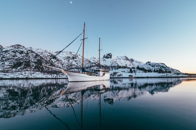 Luxury Northern Lights Yacht Cruise with Hot Tub from Tromsø - How good are the Northern Lights chances?