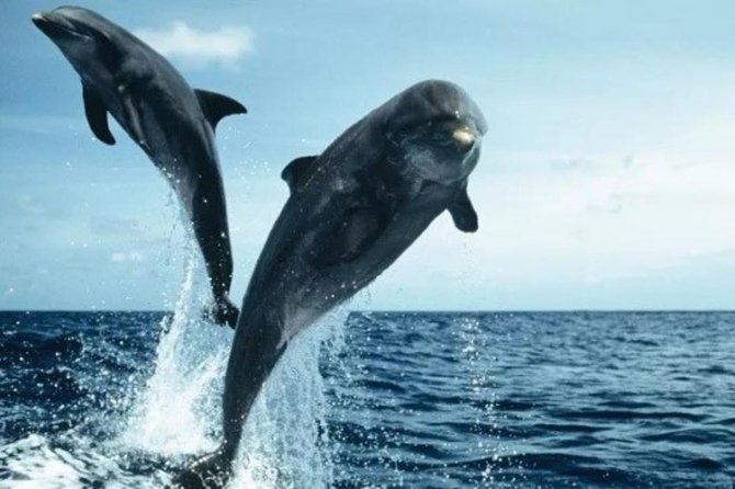 Luxury Private Boat Charter - Who will get the most from this charter