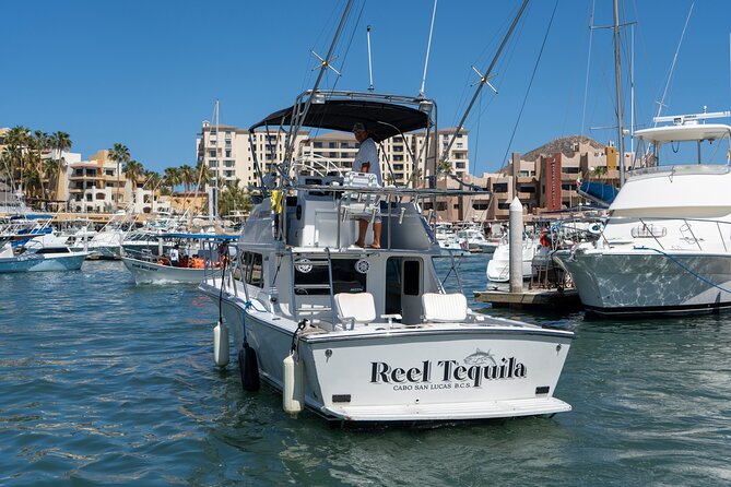 Luxury Private Yacht Charter in Cabo San Lucas Mexico - Sea lions and Scooby-Doo Rock