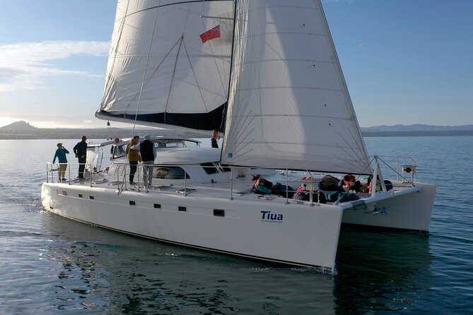 Luxury Sailing - Māori Rock Carvings - Taupo Sailing Adventures - A smooth start from Taupō Marina