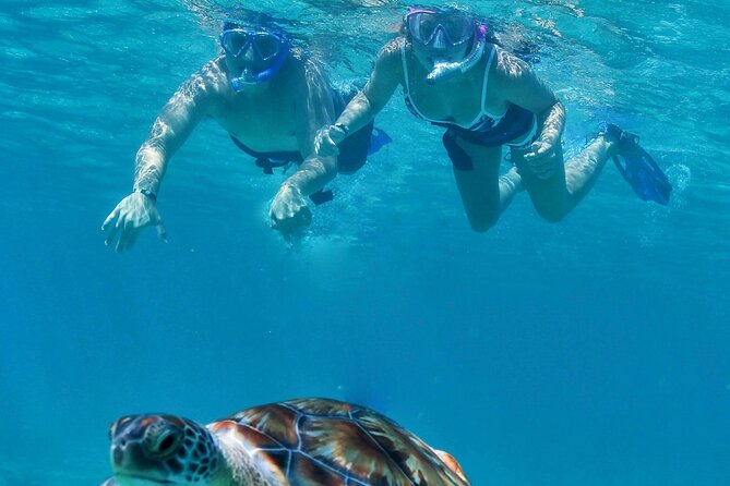 Luxury Sailing & Snorkeling Experience from Riviera Maya - What the five-hour sailing day is really like