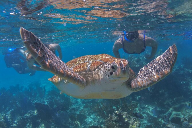 Luxury Sailing & Snorkeling Experience from Riviera Maya - Reaching the Mayan coral reef