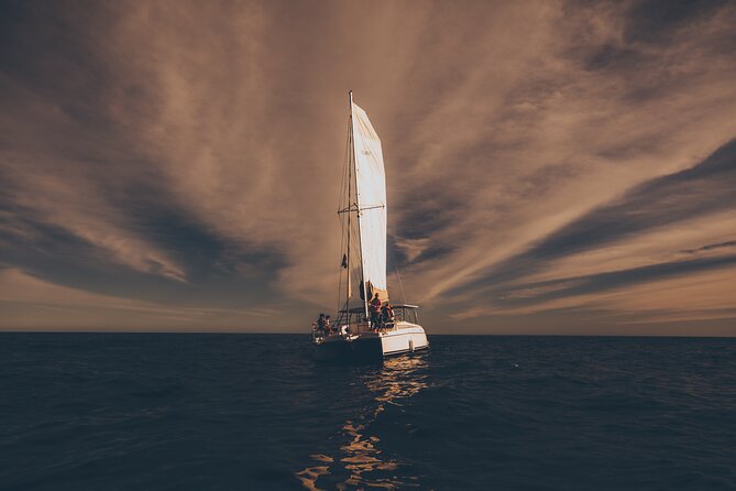 Luxury Whale Watch Cruise to The Arch Los Cabos - What the open bar adds to the day