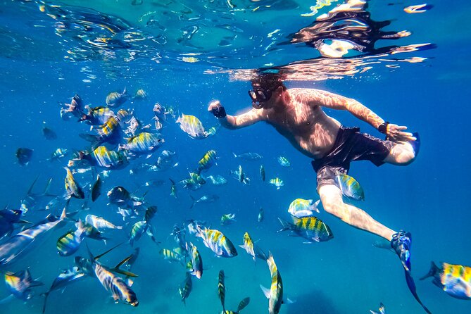 Luxury Yacht & Snorkel with All inclusive Open bar and lunch - Lunch, snacks, and the open bar