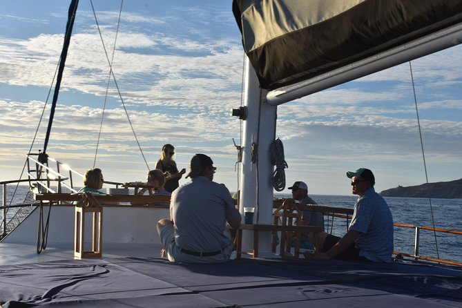 Luxury Yacht Snorkeling & Lunch Cruise from Cabo San Lucas - What the crew adds to the day