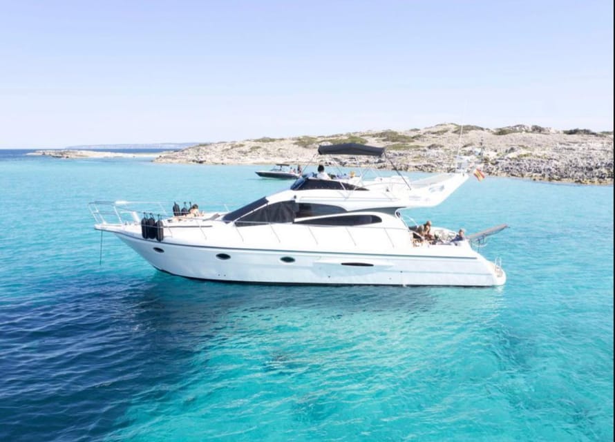 Marbella: Private Cruise in Yacht - A dolphin search with realistic expectations